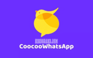 coocoo whatsapp