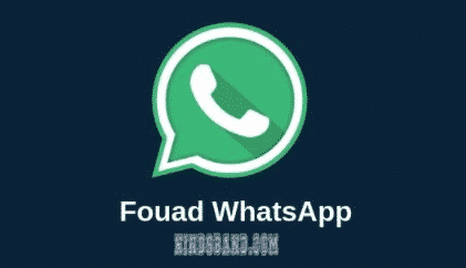 fouad whatsapp