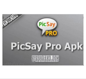 picsay pro