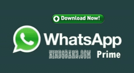 download whatsapp prime