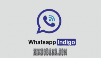 whatsapp indigo