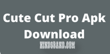 download cute cut pro