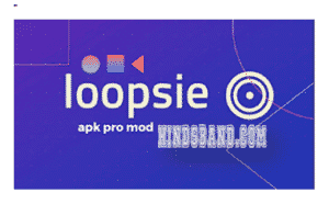 loopsie pro