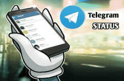 cara membuat status di telegram