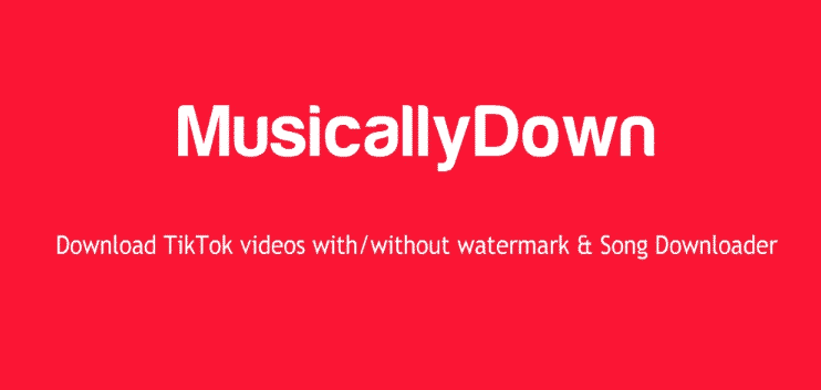 Musicallydown Tiktok Video Downloader, Tanpa Watermark 2021